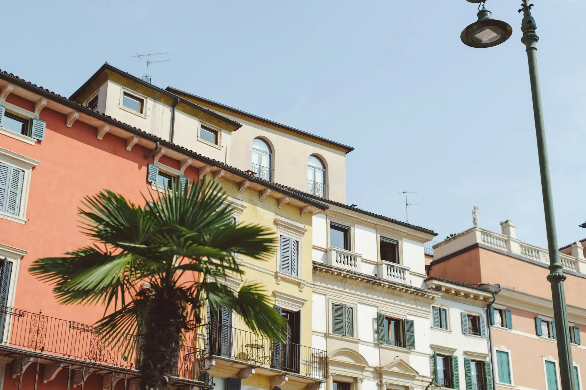 A row of pastel-colored buildings with balconies and shutters, a palm tree in the foreground, and a streetlamp.