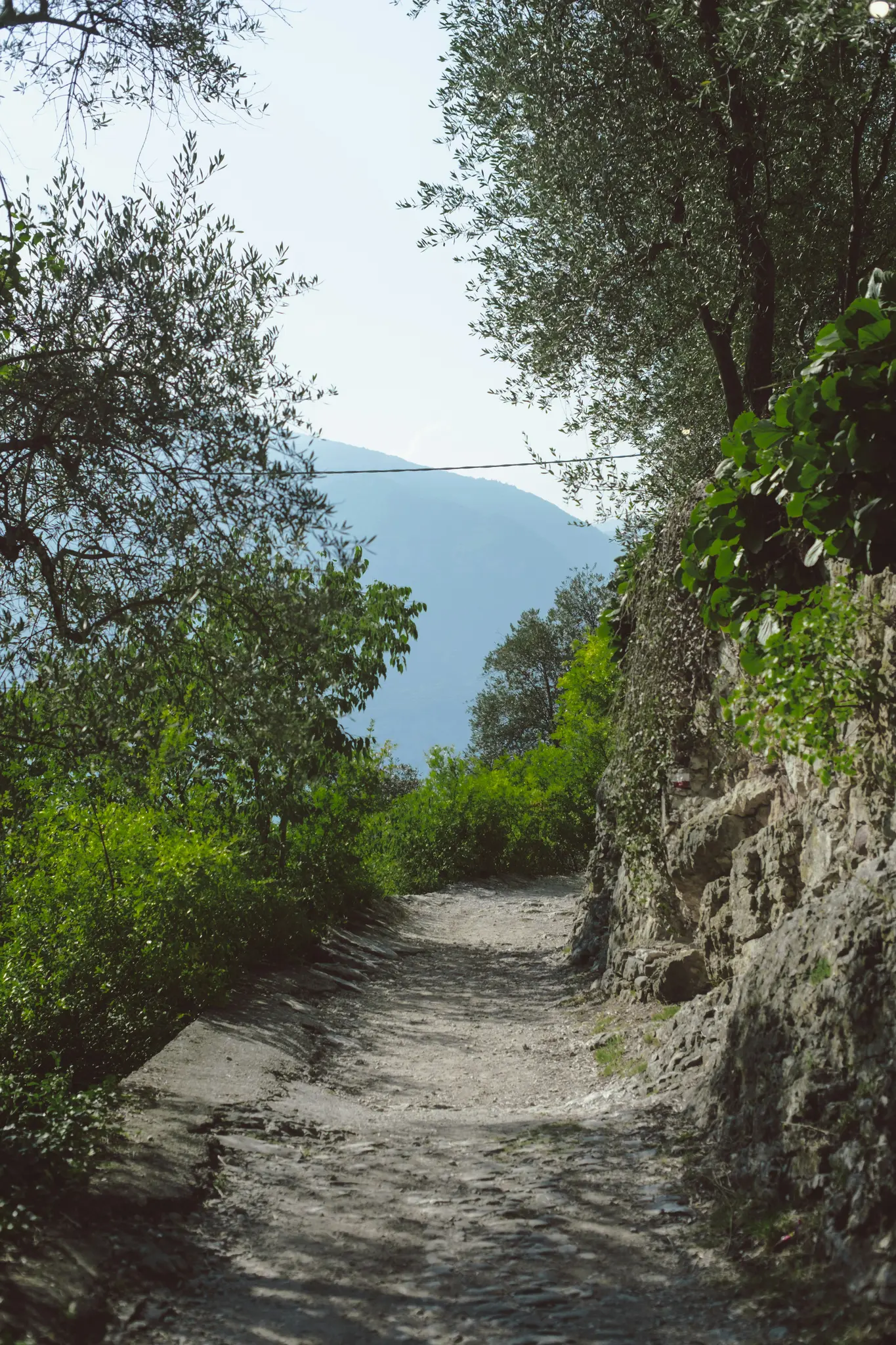 A narrow, sun-dappled dirt path winds between dense green bushes and a textured stone wall, leading towards distant…