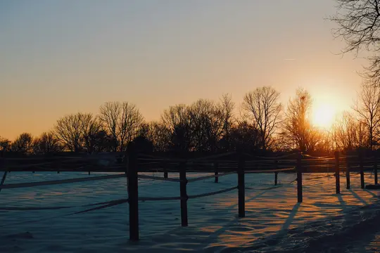 A low-angle wide shot of a snowy field with a fence line, silhouetted bare trees, and a bright orange sunset.