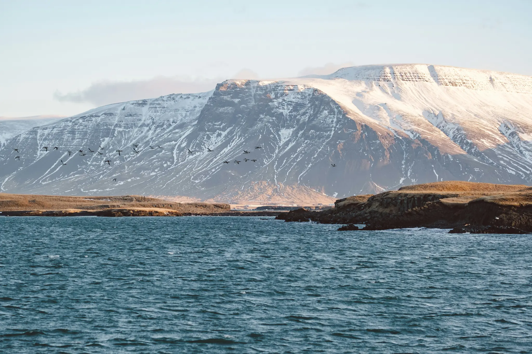 A wide landscape photo shows a flock of dark birds flying low over a choppy blue sea. Behind them, a brown coastline leads…