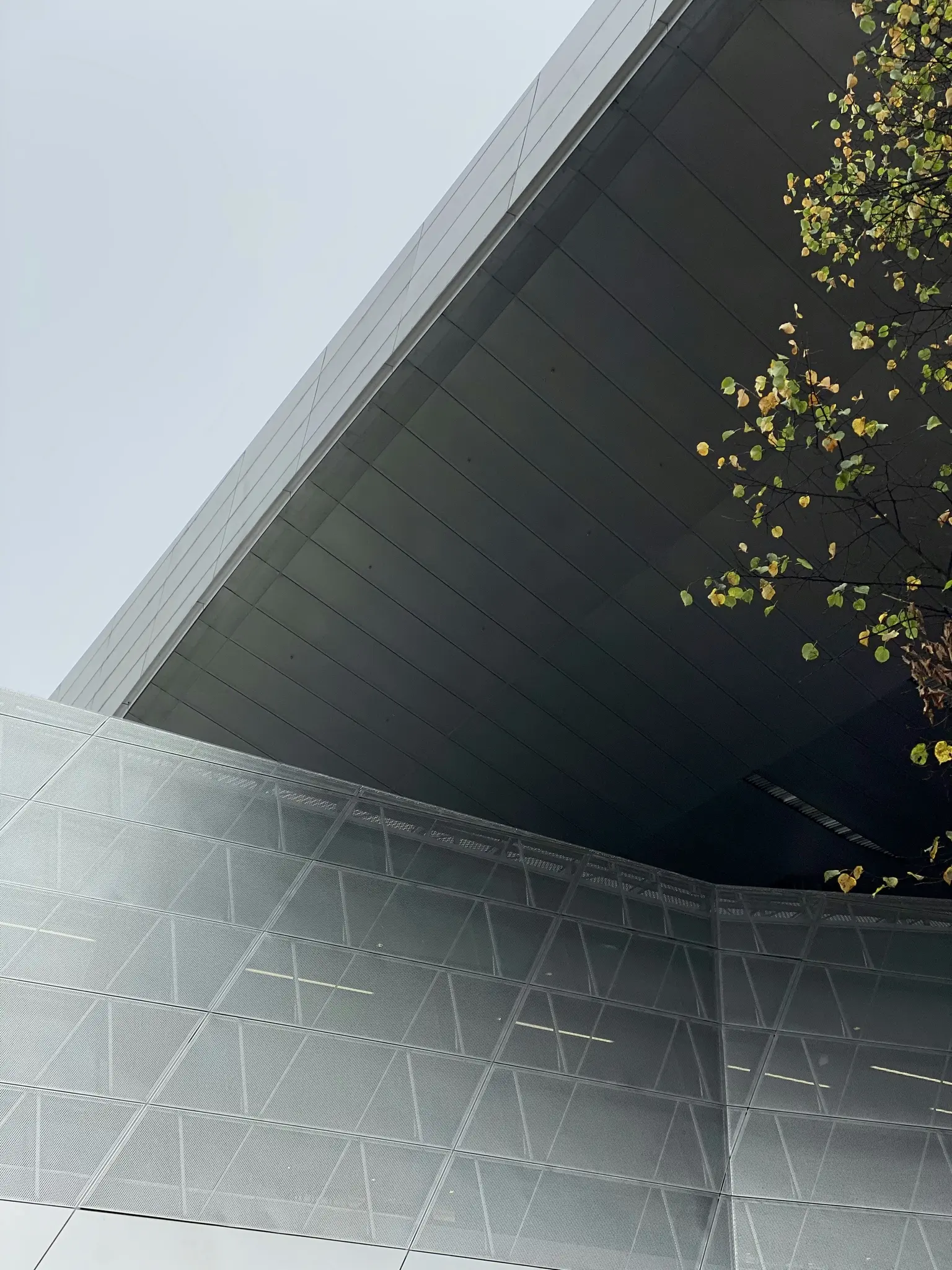 A low-angle view of a modern building featuring a dark, flat overhang and a curved, glass-paneled facade. A tree branch…