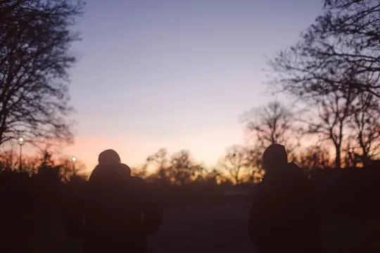 Two people in silhouette stand with their backs to the viewer, looking at a sunset sky with bare trees.