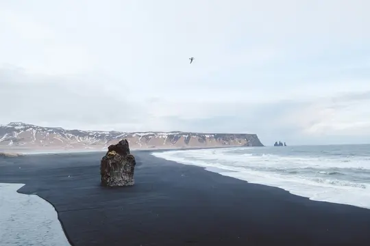 Et dramatisk landskabsfoto af en sort sandstrand med en fremtrædende mørk klippe, havets bølger og sneklædte bjerge.