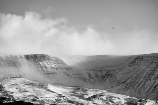 A black and white wide landscape of snow-covered mountains and valleys under a cloudy sky, with a small bird flying.