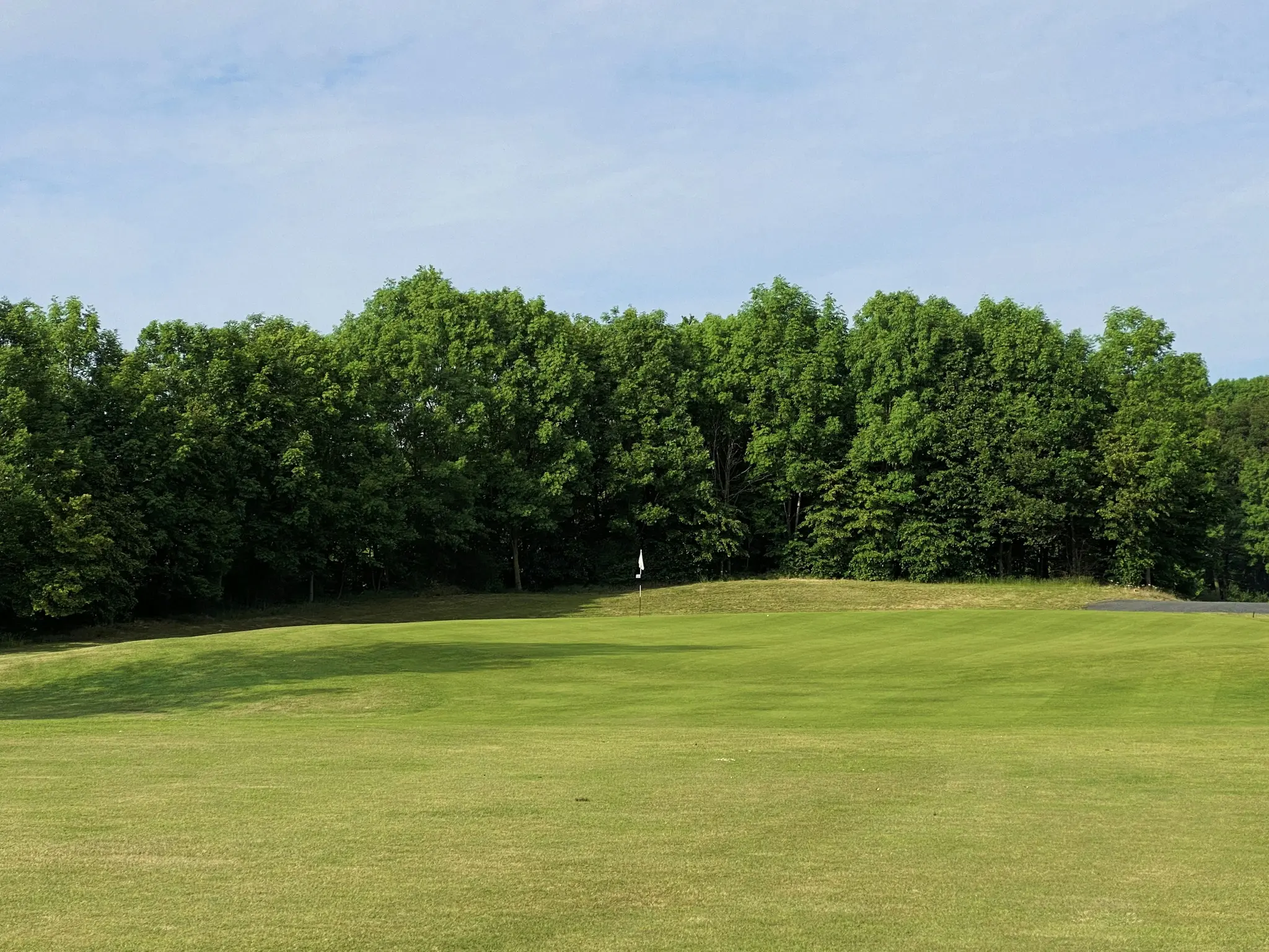 Široký záběr golfového hřiště s úhledně posekaným zeleným polem v popředí a hustou linií stromů.