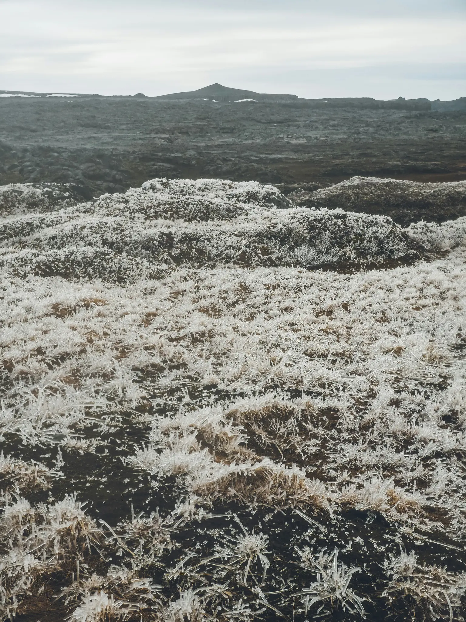 En vidvinkelbild av ett kallt, öde landskap. Förgrunden är täckt av vit frost på låg vegetation. I…