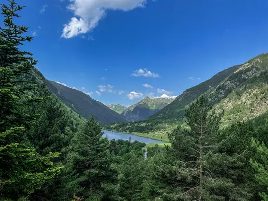 En panoramautsikt över en lugn blå sjö inbäddad i en djup dal, omgiven av frodiga gröna tallskogar och resande...