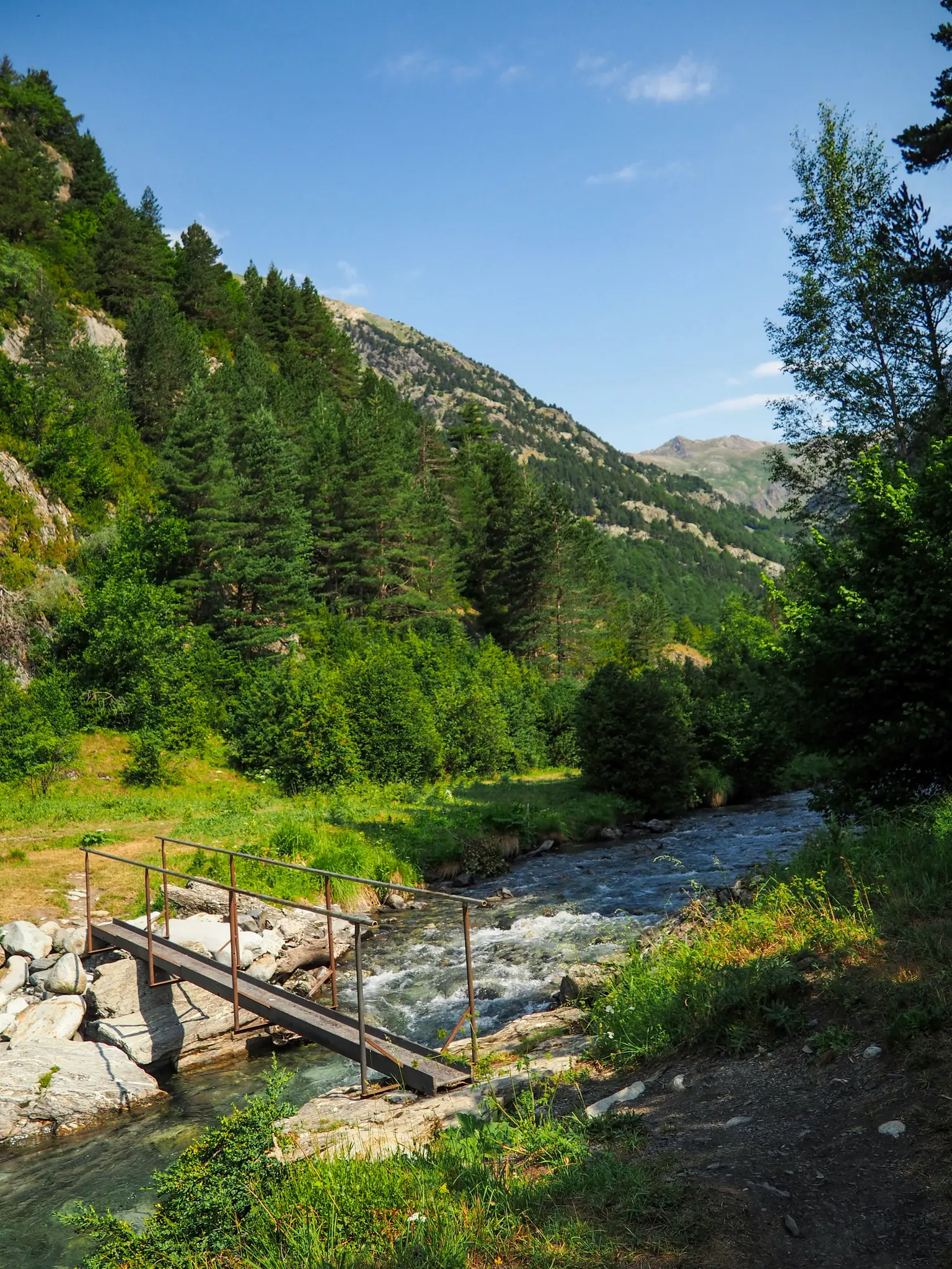 En liten, rustik metallbro med räcken korsar en stenig, snabbt strömmande flod i en frodig, grön bergdal. Tallar…