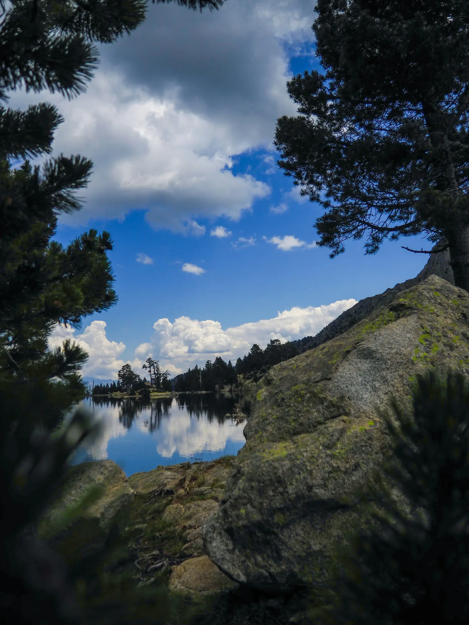 En klar bergssjö reflekterar en blå himmel med vita moln och en rad mörkgröna tallar. Stora klippor och tallar...
