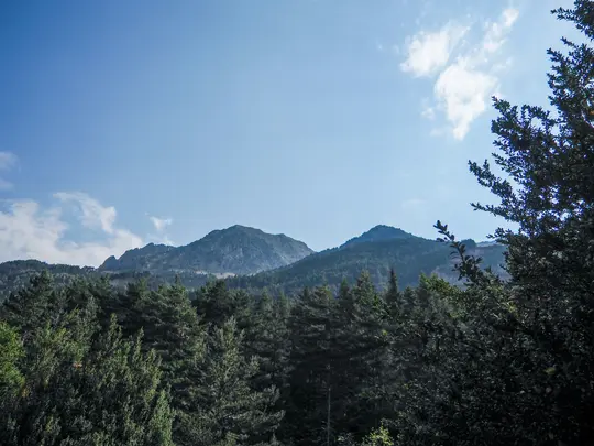 En bred landskapsvy över en bergskedja täckt av mörkgröna barrträd, under en klarblå himmel med fluffiga vita...
