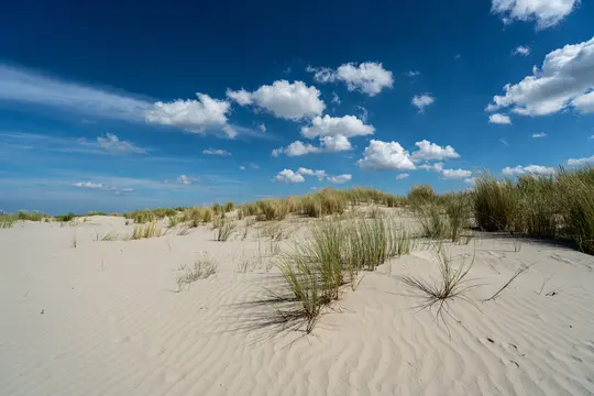 A wide landscape photo of rolling sand dunes with patches of green and dry grass under a bright blue sky with fluffy white…