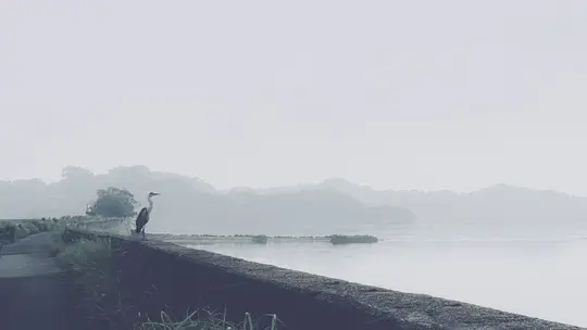 A heron stands on a dark stone wall next to calm water, with misty hills and a gray sky in the background.