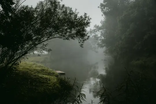 A wide landscape photo of a river shrouded in thick mist, with dark green trees and grass on both banks. A small wooden…