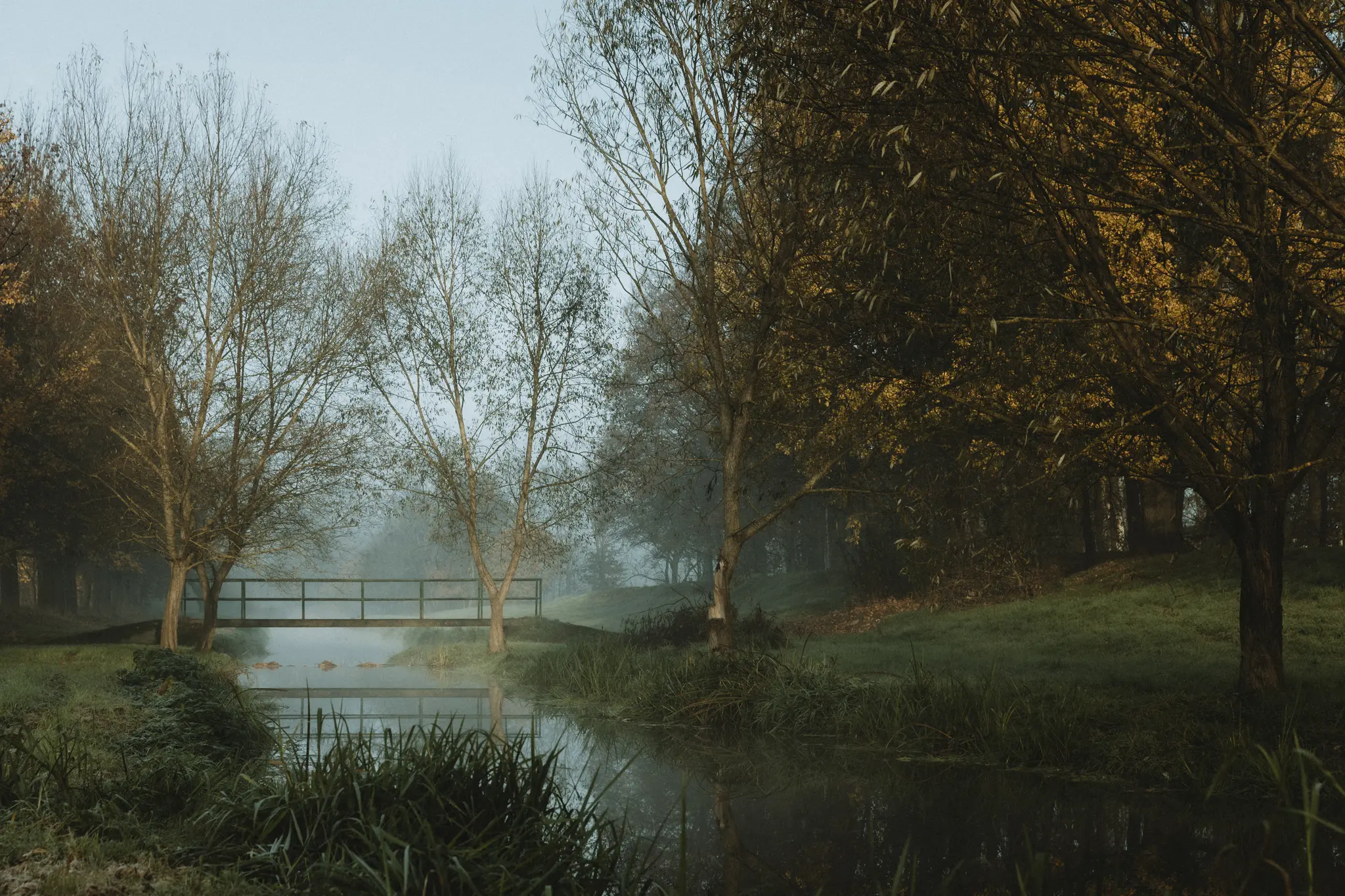 A tranquil scene of a narrow river with a small wooden bridge and green railings, surrounded by trees with autumn foliage…