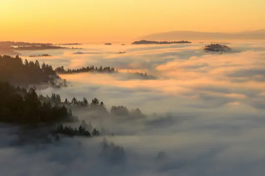 Een luchtfoto van het landschap toont een dicht bos dat tijdens zonsopgang gedeeltelijk is ondergedompeld in een dikke laag