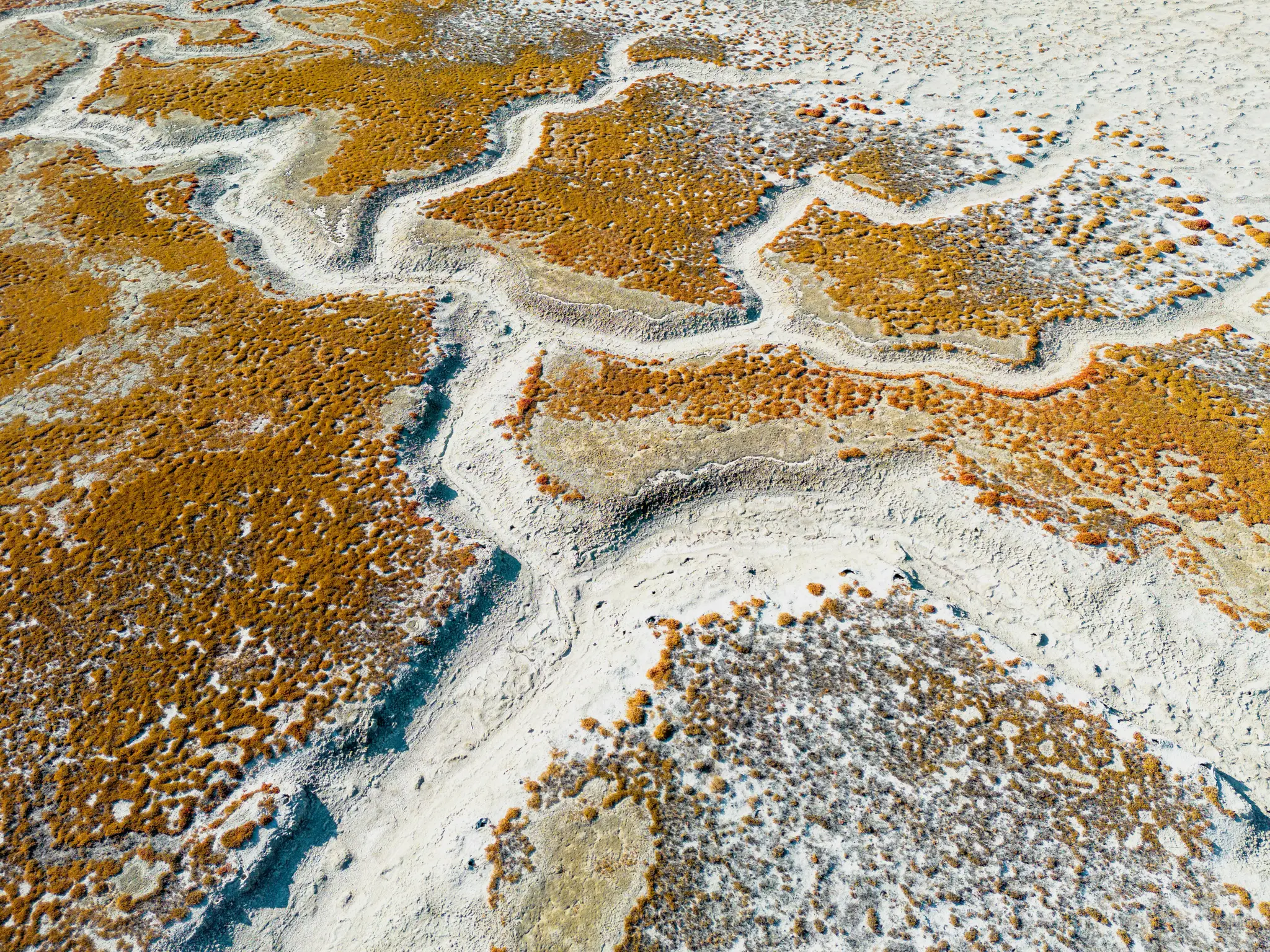 Eine Luftaufnahme zeigt eine Landschaft mit komplexen, gewundenen Mustern dichter orangeroter und rotbrauner Vegetation vor