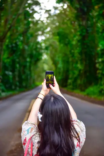Une personne, vue de dos, tient un smartphone et photographie une longue route droite bordée d'un tunnel d'arbres verts