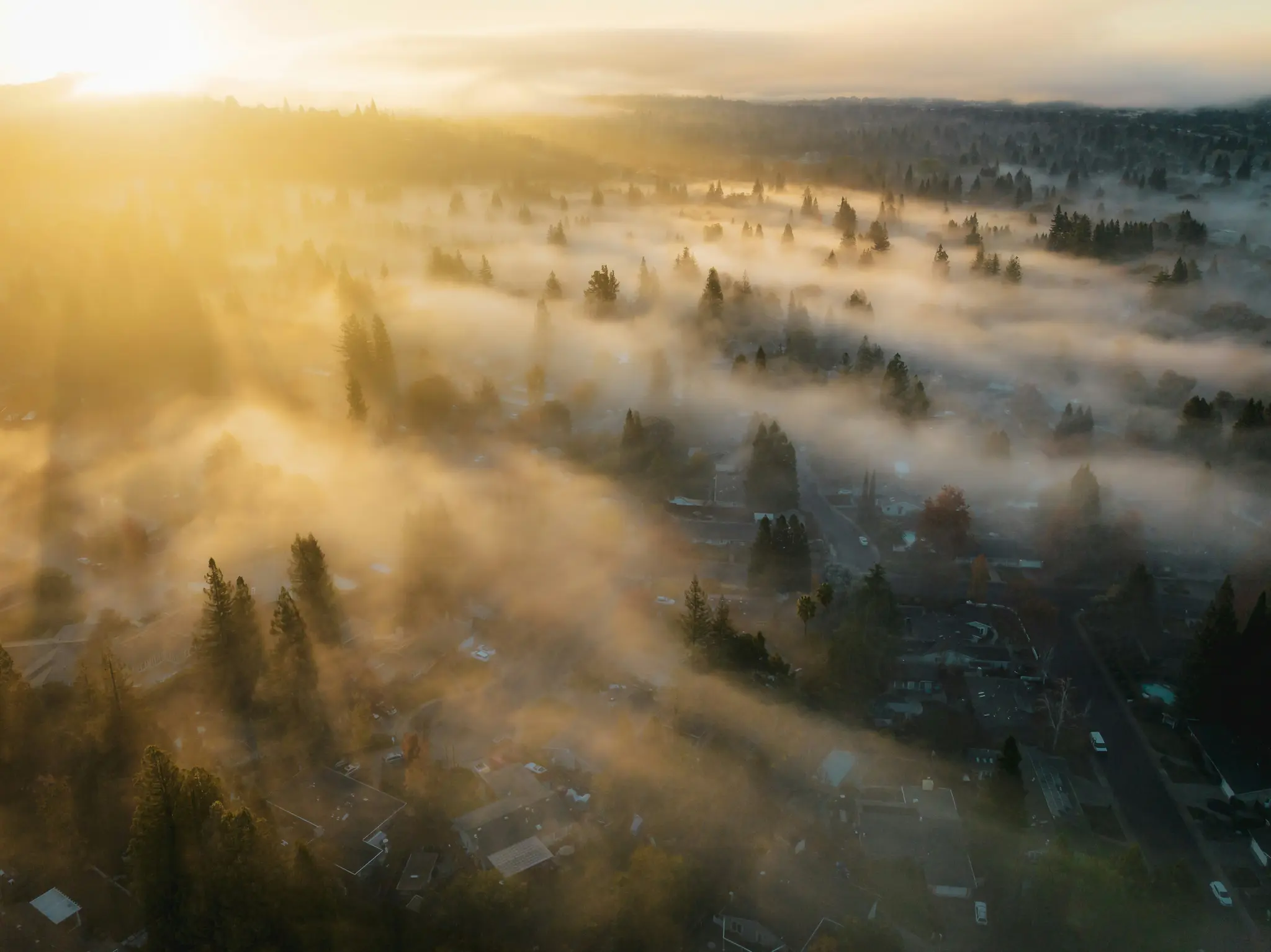 Een luchtfoto van een buitenwijk bedekt met dichte, gouden mist tijdens zonsopgang of zonsondergang, met boomtoppen en daken…