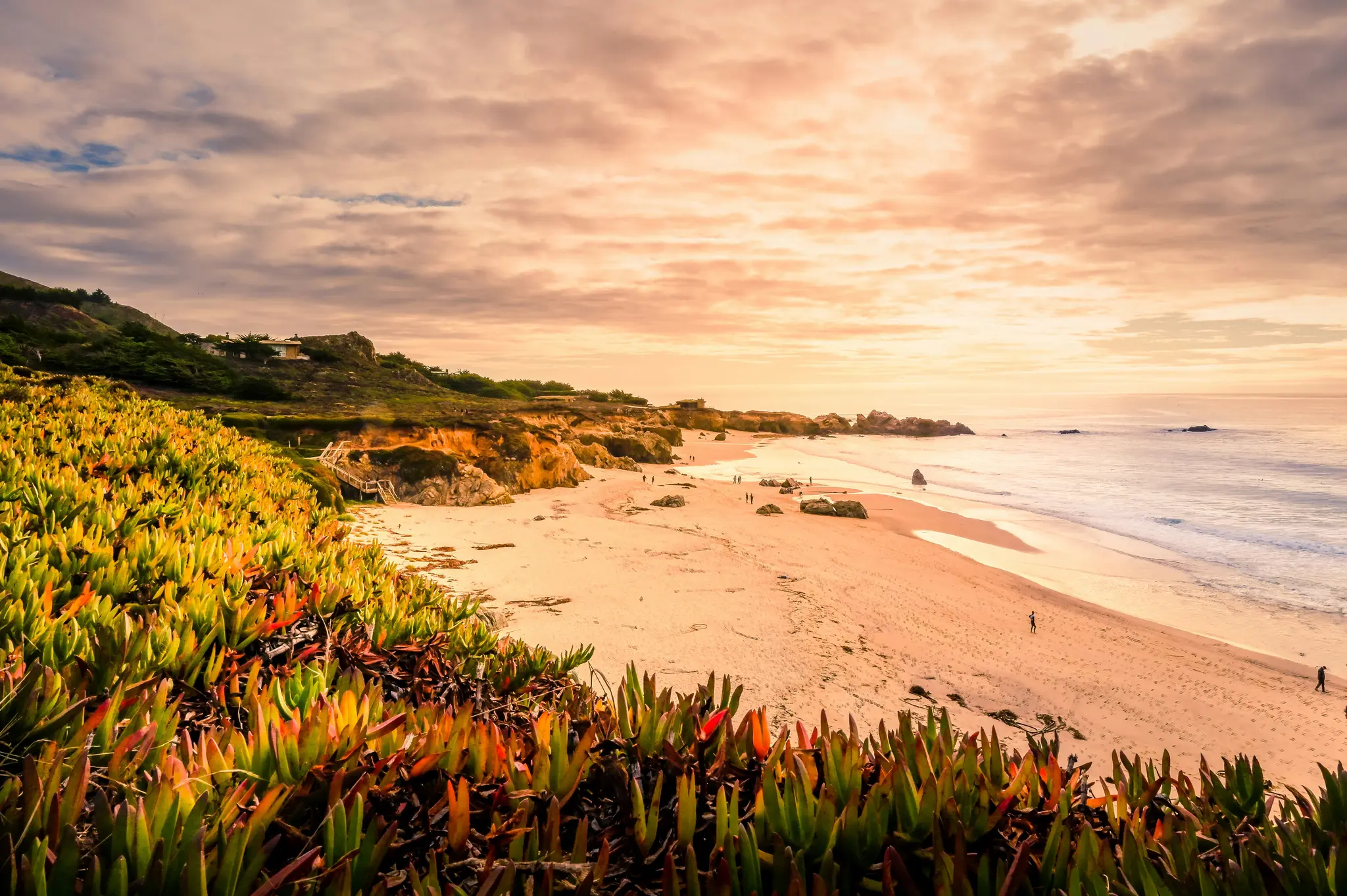Een brede landschapsfoto van een strand bij zonsondergang, met levendige groene en rode kustplanten op de voorgrond