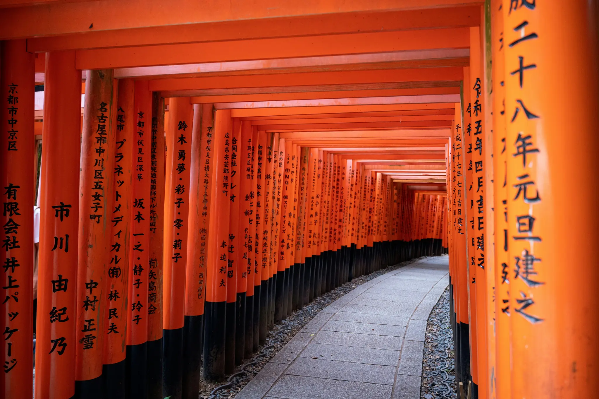 Een stenen pad slingert door een dichte tunnel van feloranje torii-poorten, elk met zwarte Japanse karakters.