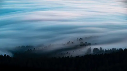 Een luchtfoto van een donker naaldbos gedeeltelijk bedekt met dikke, stromende lagen blauwgrijze mist en wolken.