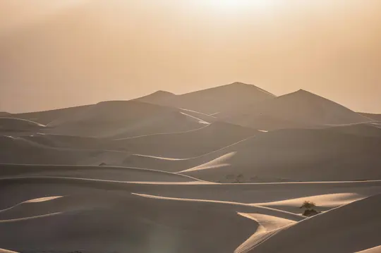 O fotografie peisagistică largă cu numeroase dune de nisip sub un cer cald și blând de la ora de aur. Dunele prezintă curbe