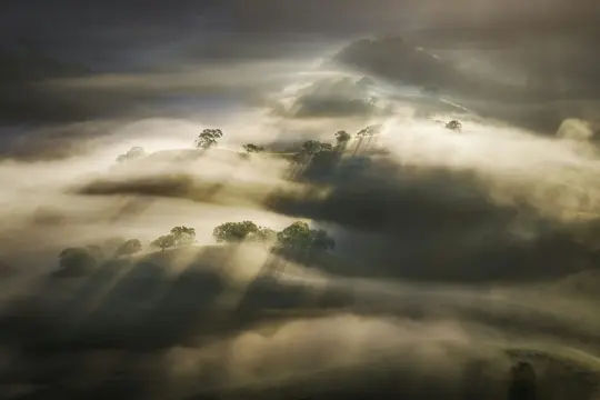 Een luchtfoto van glooiende groene heuvels bedekt met dichte, goudverlichte mist. Zonnestralen dringen door de mist en