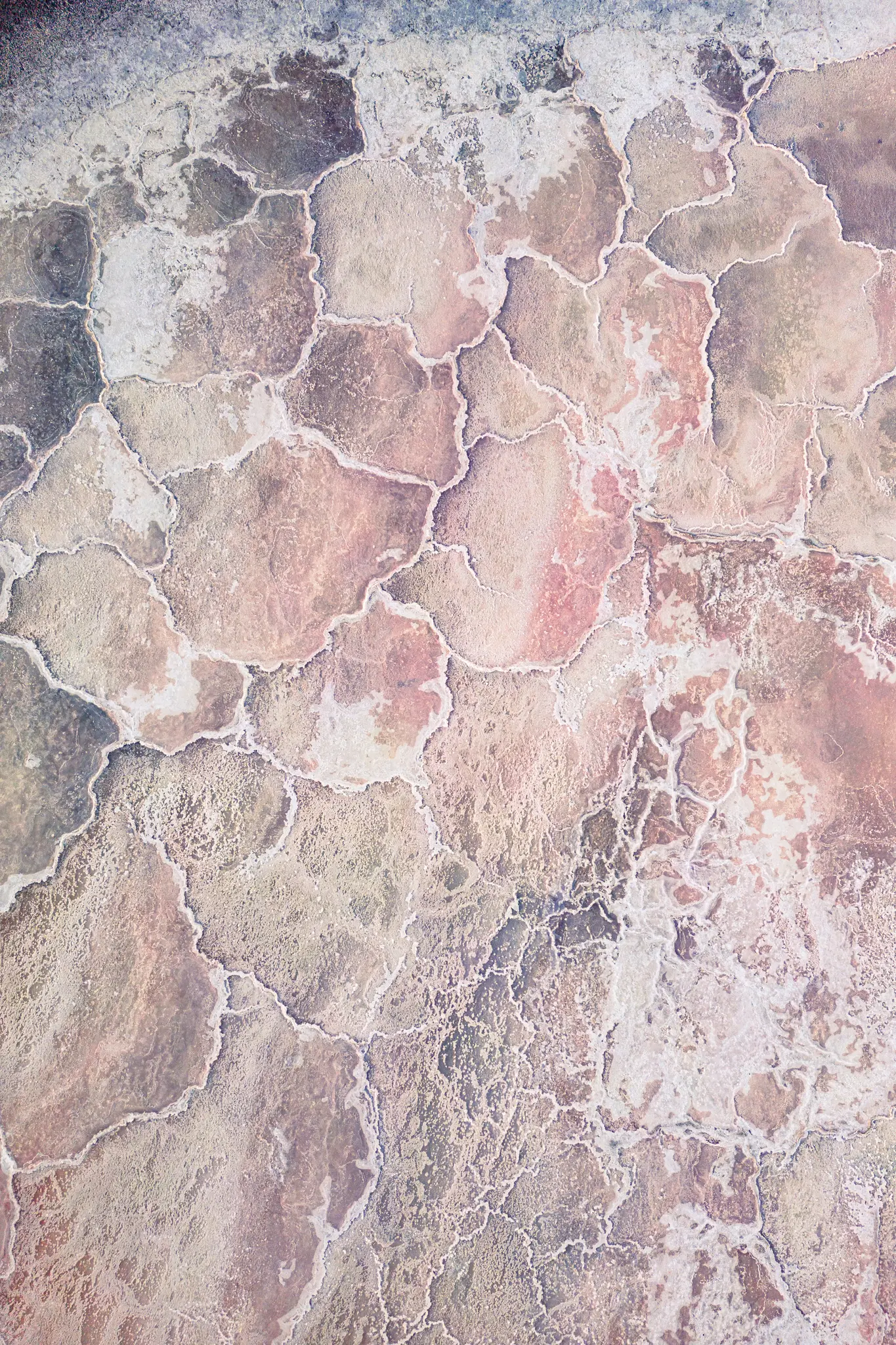 Una fotografia aerea mostra un paesaggio secco e screpolato con forme poligonali delineate in bianco, nei toni del rosa, del