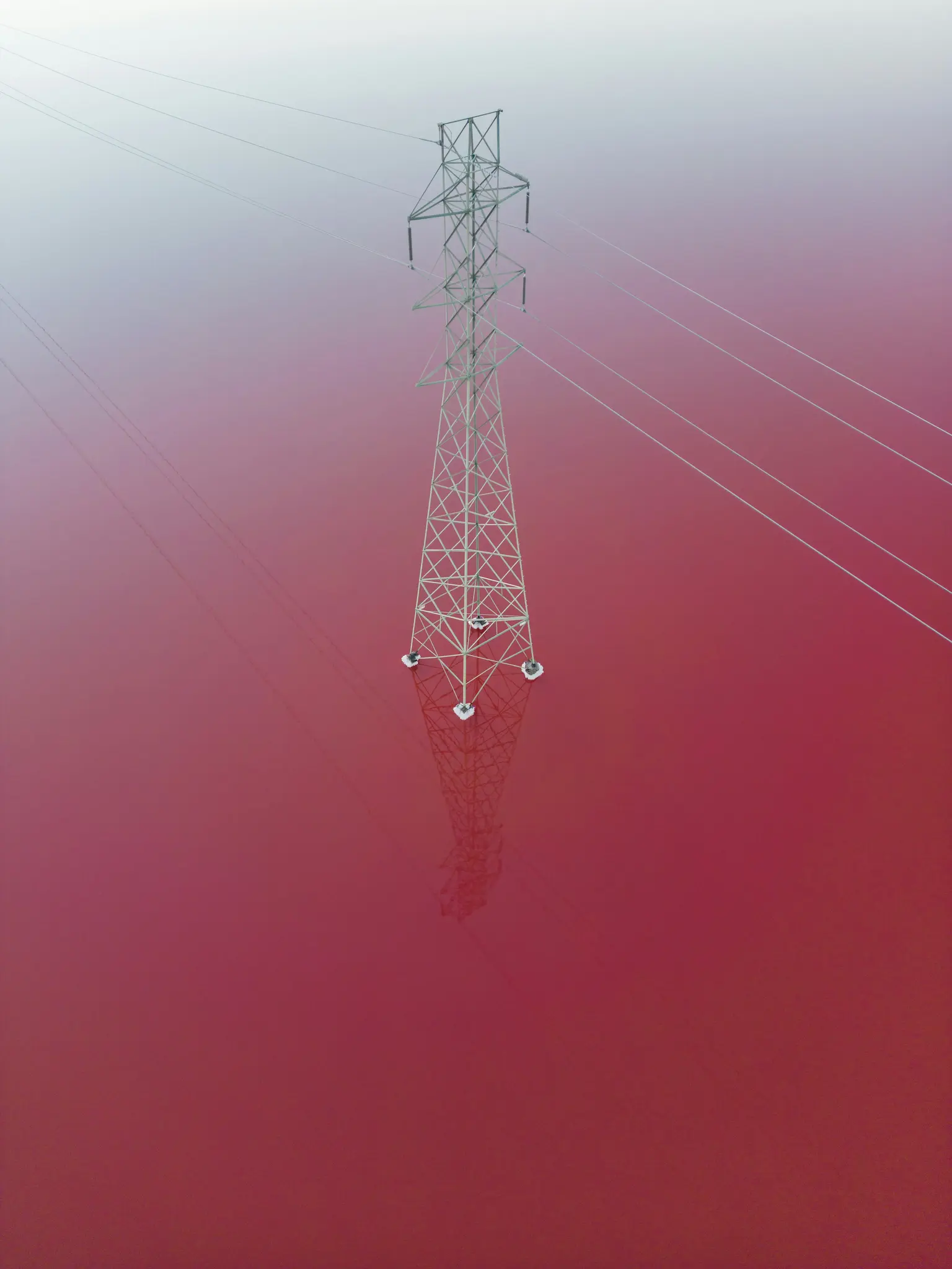 Een luchtfoto toont een hoge, zilveren elektriciteitspylon die staat in een uitgestrekte, levendig roze waterpartij. De...
