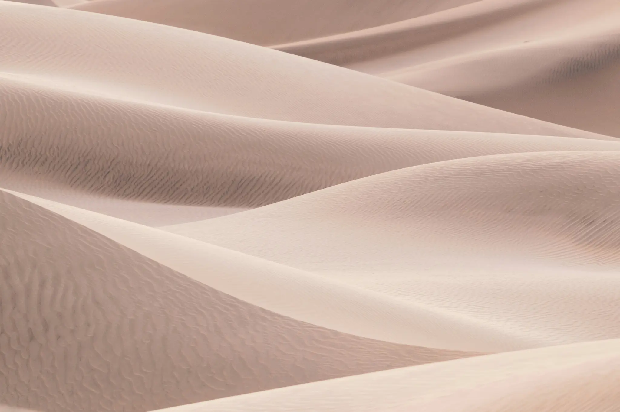 Een minimalistische foto van zandduinen, met zachte, golvende rondingen en rimpelingen in tinten lichtbeige en bleekroze.