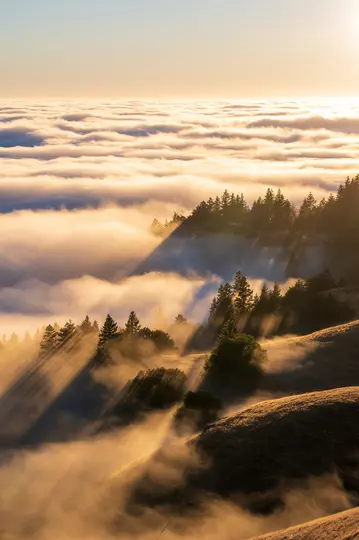 Een adembenemend uitzicht op zonnestralen die door dichte mist breken boven glooiende heuvels bedekt met bomen, met een