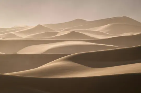 Una amplia fotografía paisajística de numerosas dunas de arena ondulantes bajo un cielo brumoso y de color claro. Una figura