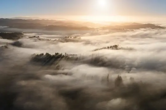 Een luchtfoto van een uitgestrekt bergachtig landschap bedekt met dichte, witte mist, met donkergroene boomtoppen die eruit