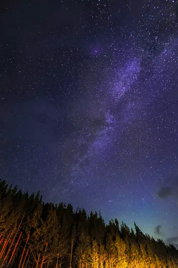 Une scène nocturne époustouflante montrant la Voie lactée s'étendant dans un ciel bleu foncé et violet au-dessus d'une forêt.