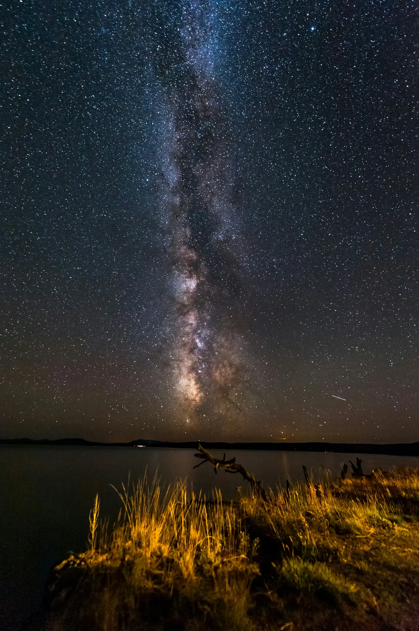 Uno scatto verticale della Via Lattea che si estende nel cielo notturno buio, con uno specchio d'acqua calmo e erba dorata