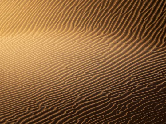Vue rapprochée, en plongée, de dunes de sable montrant des motifs de ondulations parallèles complexes sur la surface.