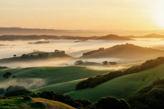 Een brede landschapsfoto die glooiende groene heuvels toont, gedeeltelijk bedekt door witte mist, verlicht door het gouden