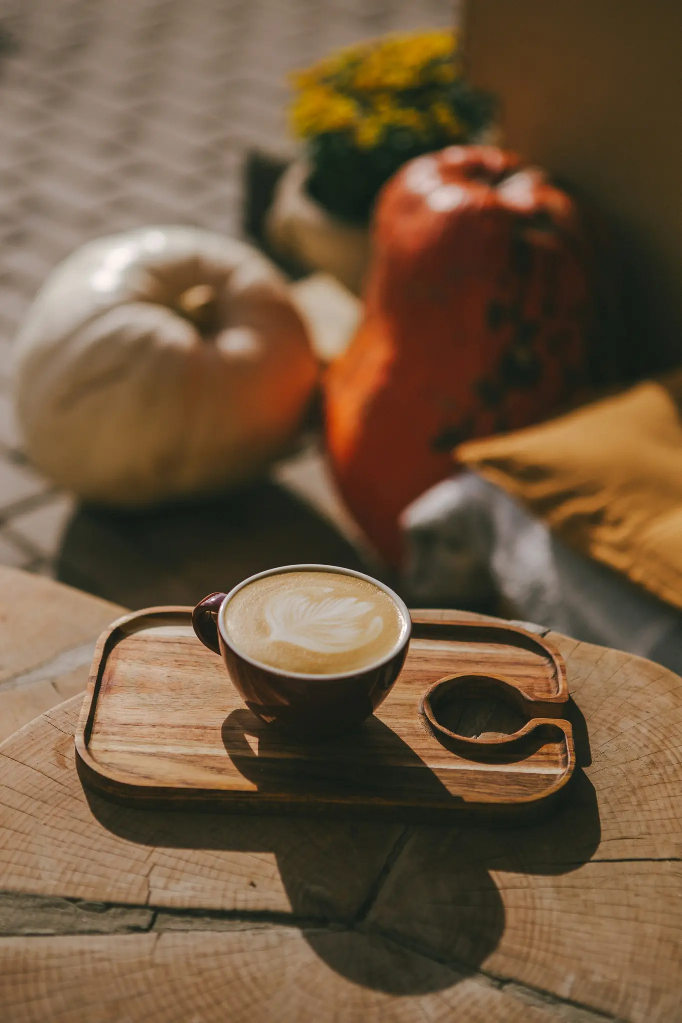 Een donkerrode lattekop met een bladvormig patroon in het schuim staat op een lichtbruine houten dienblad. Wazige pompoenen