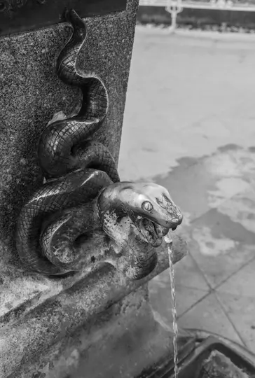 Un primo piano in bianco e nero di una fontana con una dettagliata scultura di serpente. L'acqua scorre dalla bocca aperta