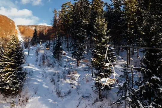 Un téléski vide avec des chaises blanches monte sur une pente de montagne enneigée. De grands pins couverts de neige bordent