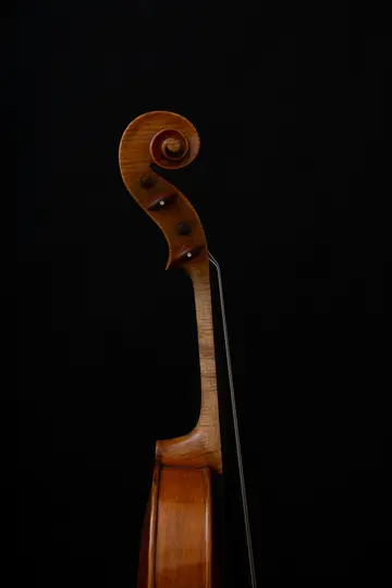 O fotografie de aproape, verticală, a volutei, a cutiei de cuie și a părții superioare a gâtului unui instrument cu coarde