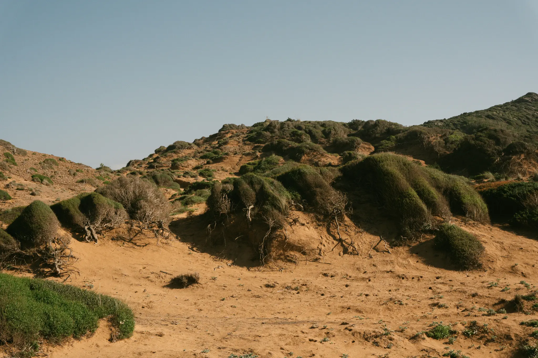 Eine weite Landschaftsaufnahme von sandigen Hügeln, bedeckt mit dichtem, niedrigem grünem und braunem Gestrüpp unter einem