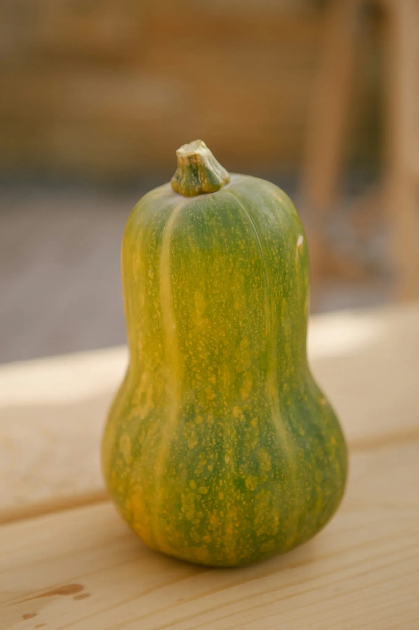Een groene en gele pompoen staat rechtop op een licht houten oppervlak, met een vage, warme achtergrond.