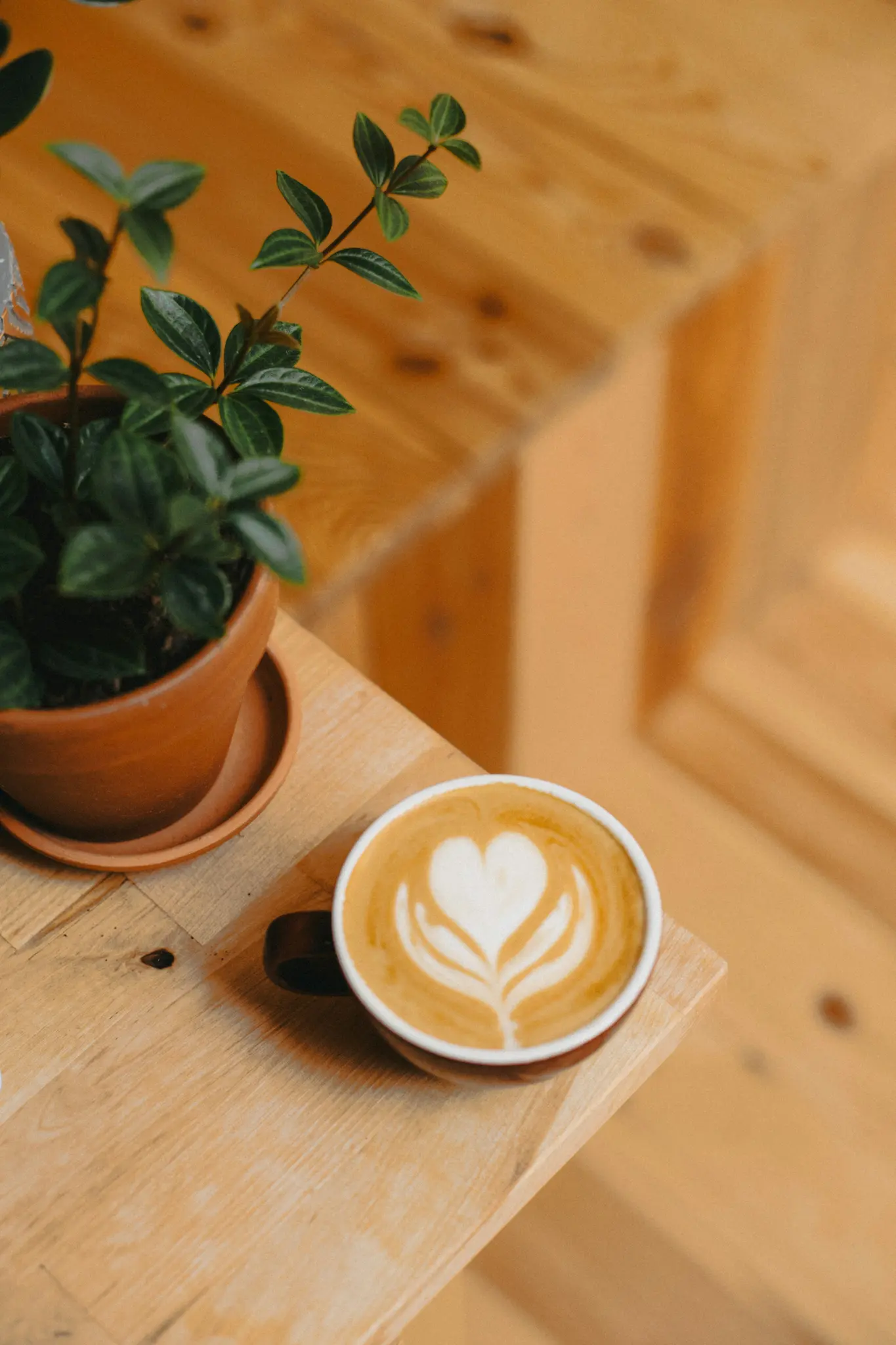 Een bovenaanzicht toont een kopje latte met een hartvormig latte-artontwerp naast een kleine potplant op een houten