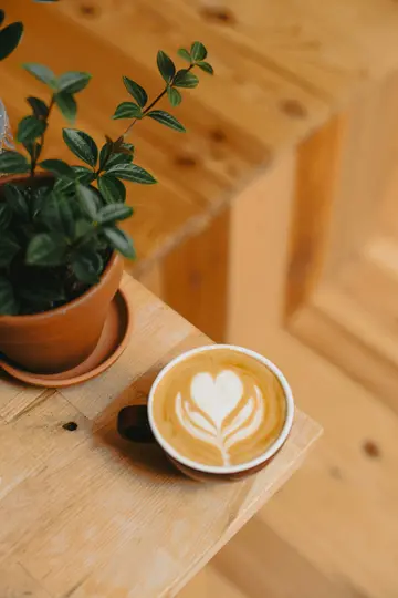 Una vista dall'alto mostra una tazza di latte con un disegno di latte art a forma di cuore accanto a una piccola pianta in