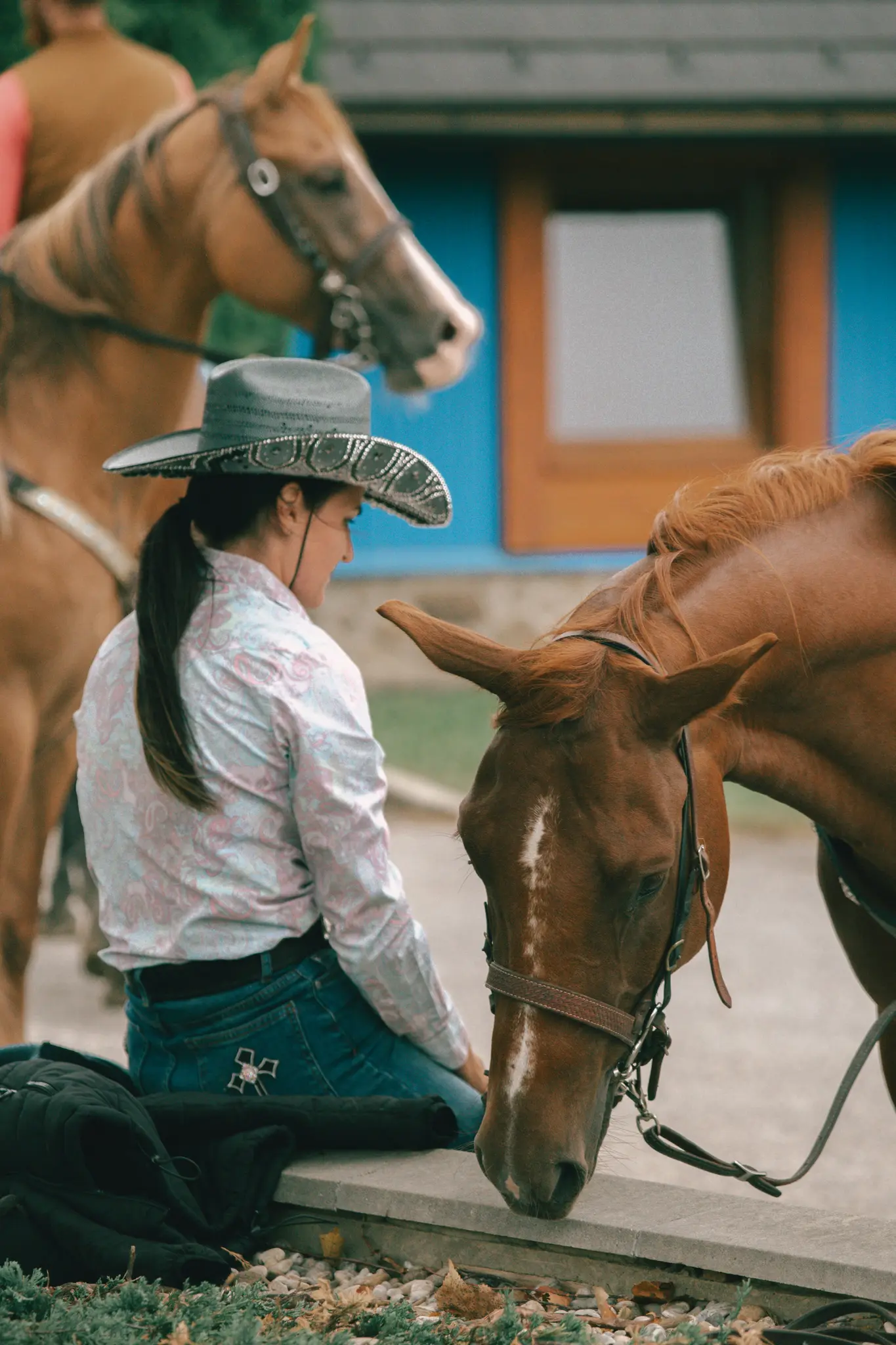 En person i cowboyhat knæler, vendt mod en brun hest med sænket hoved. En anden hest er i den slørede baggrund.