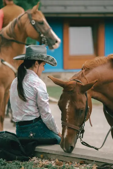 En person i cowboyhat knæler, vendt mod en brun hest med sænket hoved. En anden hest er i den slørede baggrund.