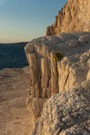Un primo piano ravvicinato di una parete rocciosa chiara e texturizzata bagnata dalla luce dell'ora dorata, con una piccola