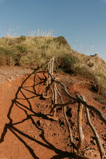 Una recinzione rustica di rami intrecciati proietta lunghe ombre su un sentiero di terra rossa. L'erba secca copre il pendio