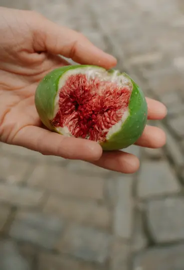 A close-up shot of a hand holding a green fig that has been split open, revealing its vibrant red, seedy interior.